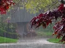 آبگرفتگی سالن ترانزیت فرودگاه کیش/ویدیو