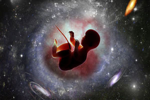 اولین نوزاد فضایی چه زمانی به دنیا خواهد آمد؟ 
