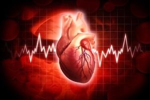 مصرف به اندازه "پتاسیم" عاملی برای حفظ سلامت قلب