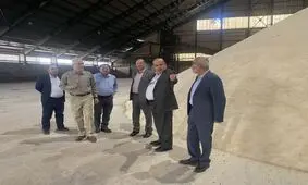 نیشکر در سایه همدلی کارگران به شکوفایی می‌رسد/ تلاش بی‌وقفه در سنگر تولید برای تحقق شعار سال

