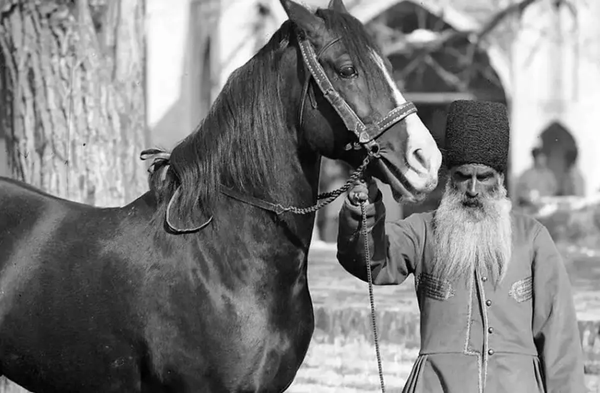 سفر در زمان؛ منظرۀ «میدان اسب‌دوانی تهران» در دوران مظفرالدین شاه قاجار 