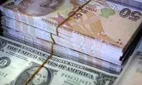 کاهش ذخیره ارزی بانک مرکزی ترکیه