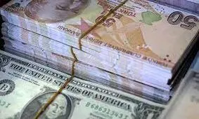 کاهش ذخیره ارزی بانک مرکزی ترکیه
