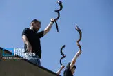 172879672_MAS11850