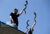 172879672_MAS11850