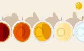 چه ارتباطی بین رنگ ادرار و سلامتی وجود دارد؟