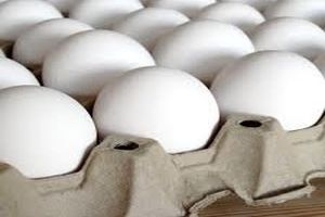 کاهش قیمت برنج و تخم مرغ قطعی است/ تخم مرغ‌های وارداتی از ترکیه؛ ۴۳هزار تومان