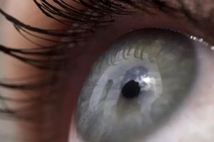 دانشمندان سوئدی برای درمان دیابت ایمپلنت‌های چشمی تولید کردند

