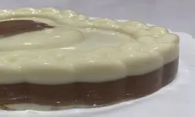 طرز تهیه پاناکوتا شکلاتی
