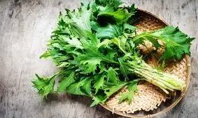 فواید دارویی و درمانی خردل ژاپنی برای بدن