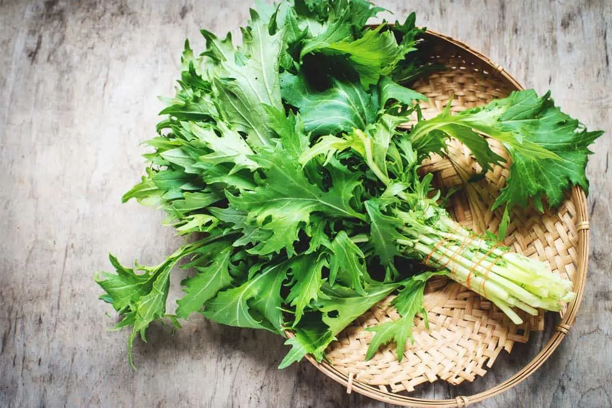فواید دارویی و درمانی خردل ژاپنی برای بدن