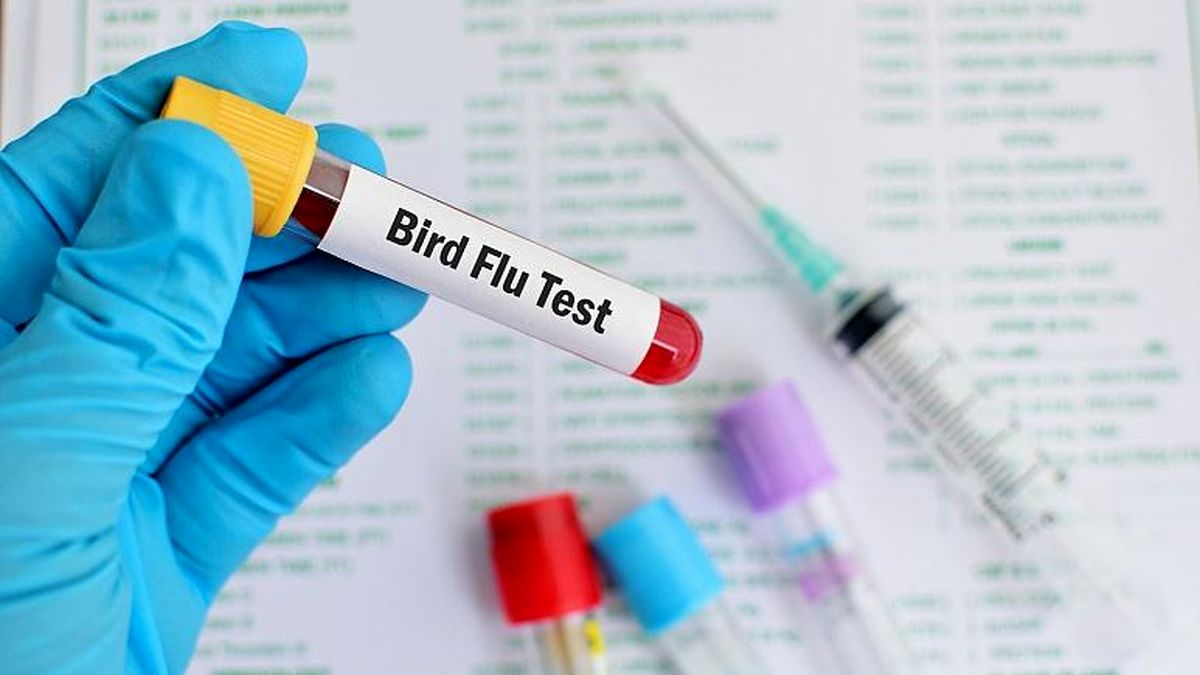 نخستین مورد از انتقال سویه H3N8 آنفلوانزای مرغی به انسان در چین شناسایی شد 