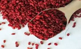 زرشک چگونه به تعادل صفرا و سلامت کبد کمک می کند؟