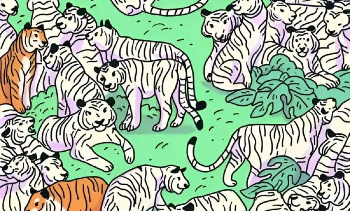 تست بینایی/ یک گورخر را که در میان چندین ببر استتار شده است، پیدا کنید