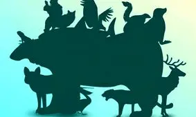 بازی فکری/ بگویید چند حیوان در این این تصویر پنهان شده اند؟