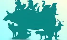 بازی فکری/ بگویید چند حیوان در این این تصویر پنهان شده اند؟