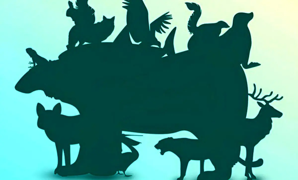 بازی فکری/ بگویید چند حیوان در این این تصویر پنهان شده اند؟