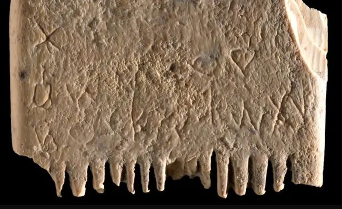 کشف قدیمی‌ترین جمله مکتوب جهان بر روی یک شانه