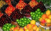 علت نوسان قیمت میوه در بازار چیست؟​