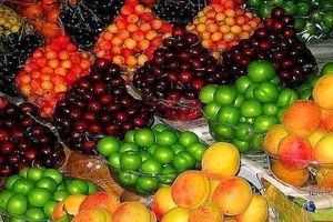 علت نوسان قیمت میوه در بازار چیست؟​
