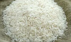 علت برنج ۳۰۰ هزار تومانی از زبان وزیر کشاورزی

