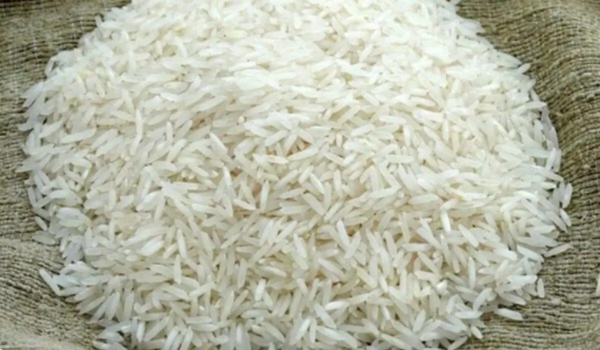 علت برنج ۳۰۰ هزار تومانی از زبان وزیر کشاورزی

