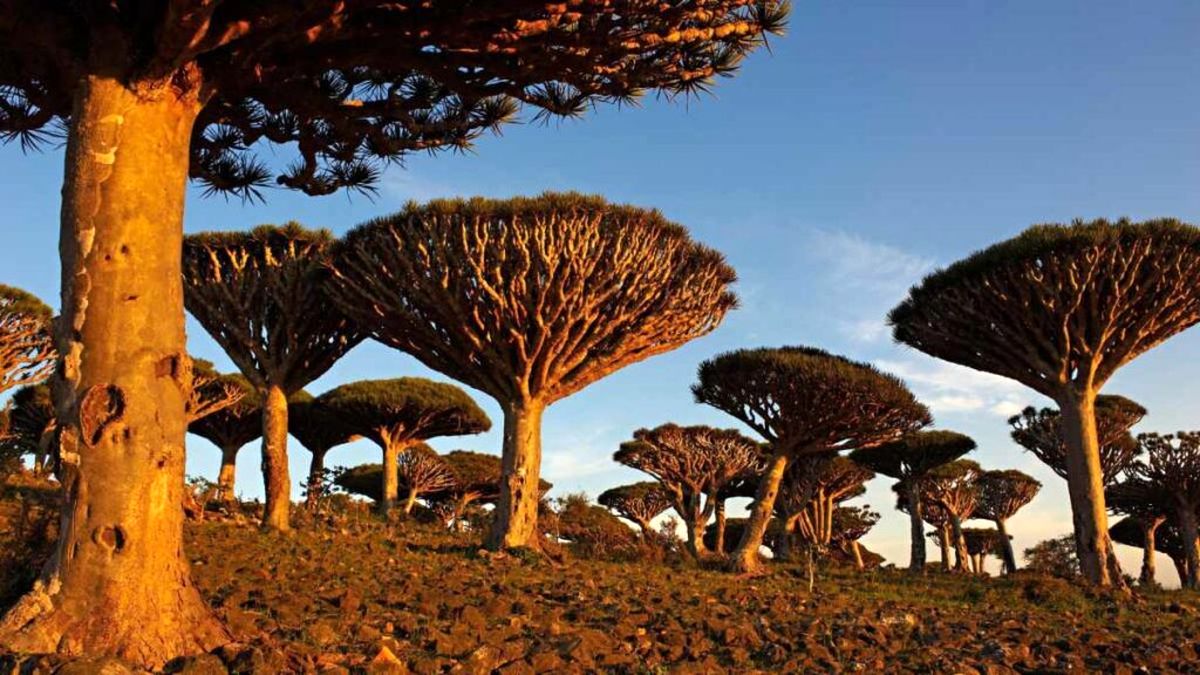سرزمینی دور افتاده با منظرهای عجیب