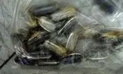 مرد مسافر که 30 بسته تریاک قورت داده بود دستگیر شد 