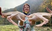 غذای روستایی؛ طبخ غذای محلی با دو غاز توسط بانوی مازندرانی/ ویدئو