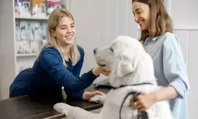 آیا سگ‌ها صاحبان قبلی خود را به خاطر می‌آورند؟