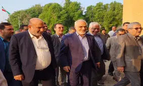 زنجیره صنعت چوب در خوزستان همچون نیشکر ایجاد شود/ توسعه زراعت چوب در خوزستان؛ گامی به سوی ایجاد اشتغال و رونق اقتصادی