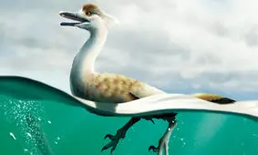 دایناسوری که تبدیل به اردک شد!