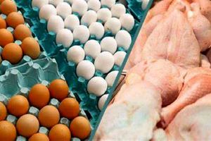 ماجرای شایعه افزایش قیمت مرغ و تخم مرغ