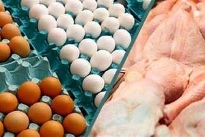 ماجرای شایعه افزایش قیمت مرغ و تخم مرغ