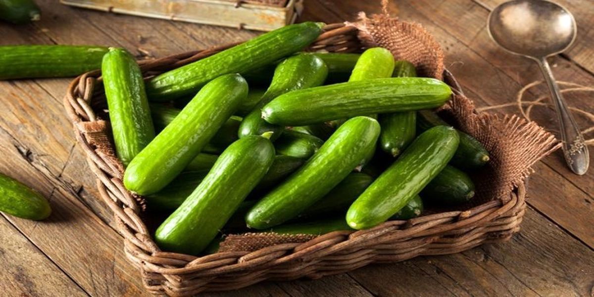 شبها خیار بخورید/ خواص بینظیر خیار که قطعاً نمیدانستید