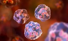 دانشمندان سرکوب درد را از انگل‌ها یاد می‌گیرند

