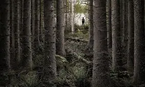 نجات پسر بچه گمشده از دل جنگل‌ های مازندران