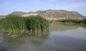 مشاهده فسیل زنده در تالاب بین المللی هامون