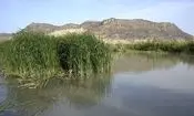 مشاهده فسیل زنده در تالاب بین المللی هامون