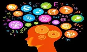آیا می توانید فلامینگو را در 7 ثانیه پیدا کنید؟