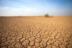 بحران کم‌ بارشی ۳ ساله شد/ خراسان رضوی، خشک‌ترین استان کشور