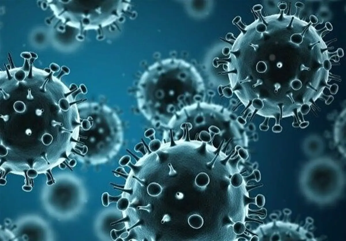ثبت نخستین مورد مرگ ناشی از آنفلوآنزای H3N2 در هرمزگان