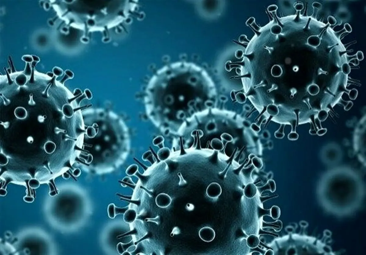 ثبت نخستین مورد مرگ ناشی از آنفلوآنزای H3N2 در هرمزگان