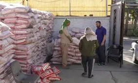 اعطای مجوز خاص به یک واردکننده برنج صحت ندارد/ کاهش ۴۲ درصدی واردات برنج