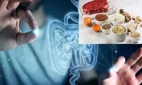 تاثیر شگفت‌آور یک ماده موجود در غذاهای پروتئینی‌ بر ترمیم روده
