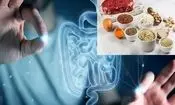 تاثیر شگفت‌آور یک ماده موجود در غذاهای پروتئینی‌ بر ترمیم روده
