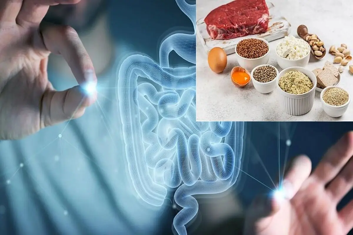 تاثیر شگفت‌آور یک ماده موجود در غذاهای پروتئینی‌ بر ترمیم روده
