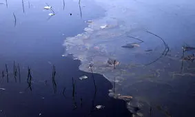 رودخانه زاینده رود چرا تغییر رنگ آب داده است؟