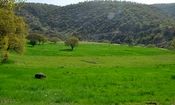 زمین خواری میلیاردی در چالوس