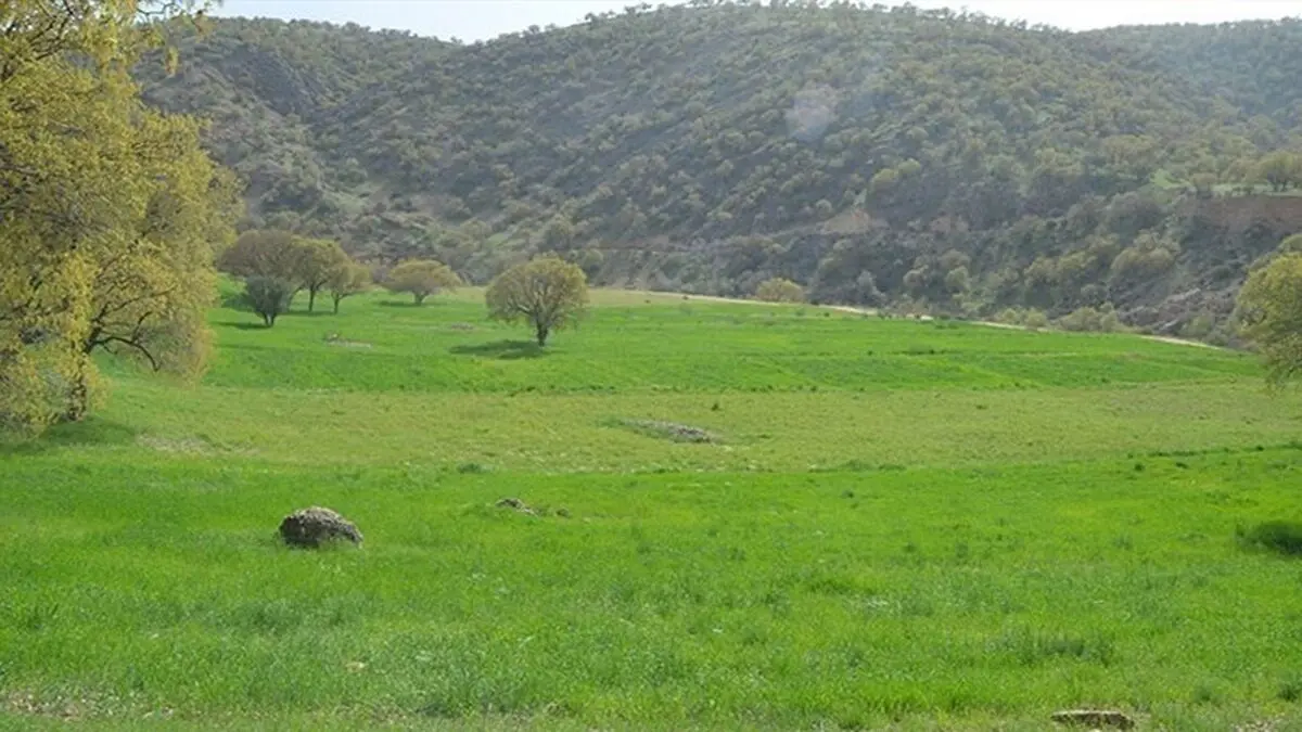 زمین خواری میلیاردی در چالوس